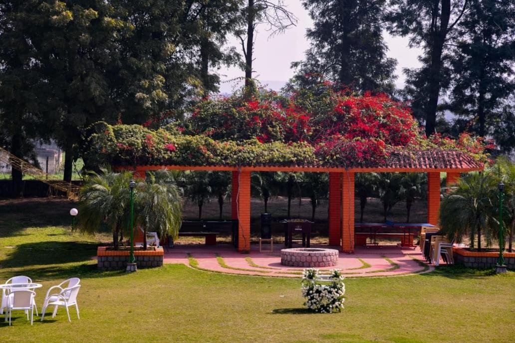 Green Orchid Farms I Swimming Pool I Wedding I Party Villa Gurgaon Eksteriør billede